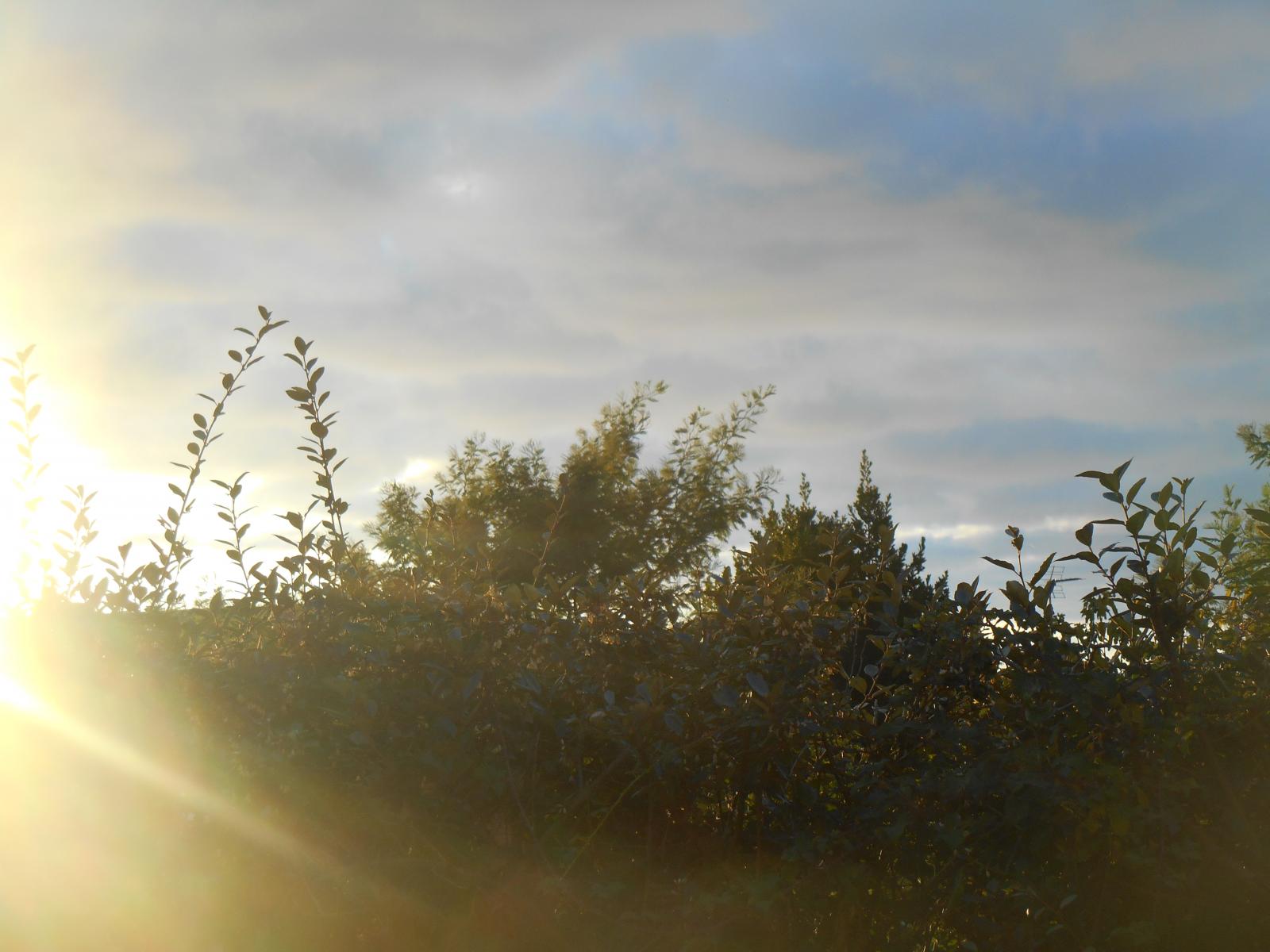 Le bleu, le gris, le jaune ( Les Moutiers en Retz )