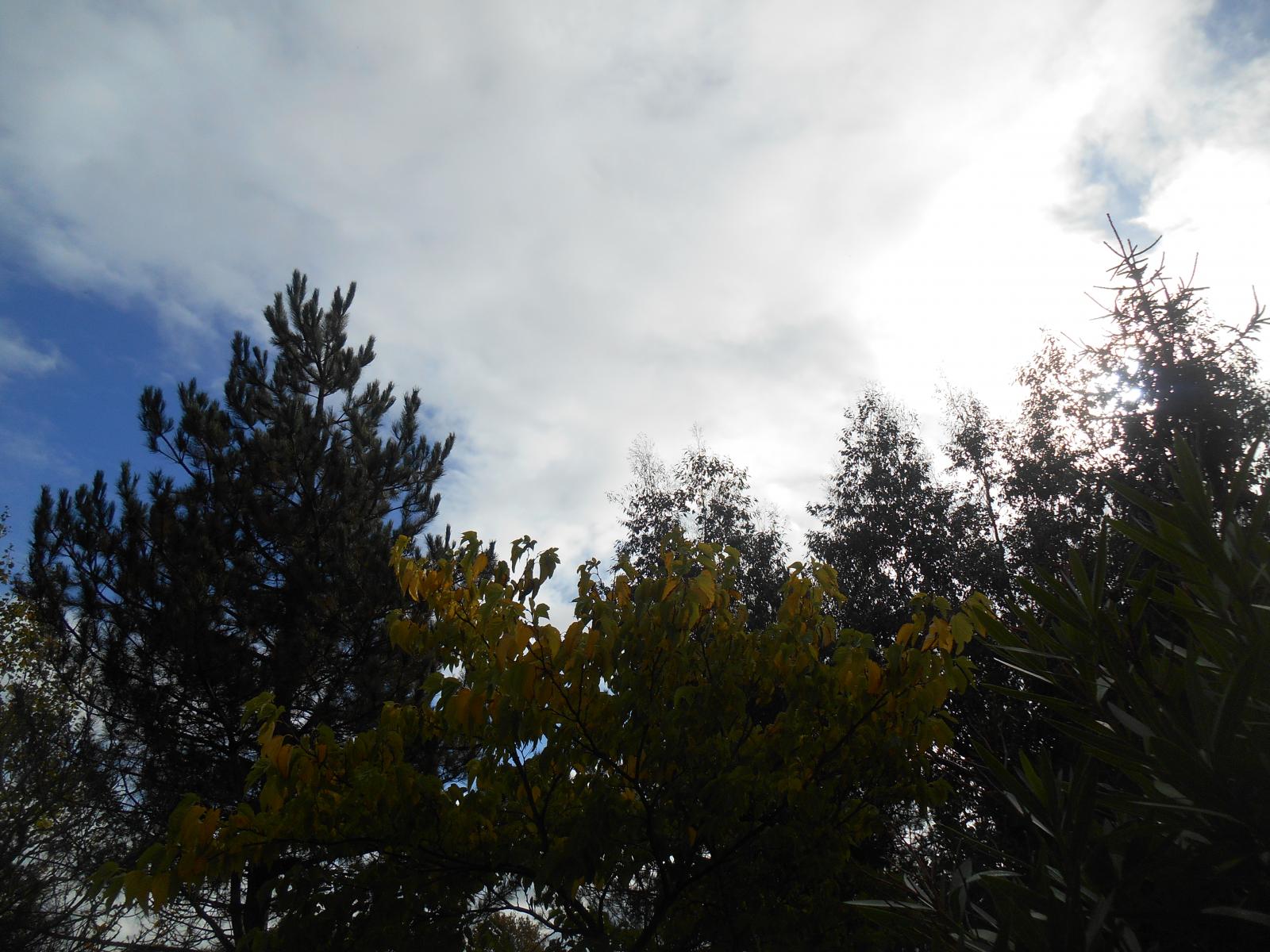 Le bleu � l\'extr�me gauche ( Les Moutiers en Retz )