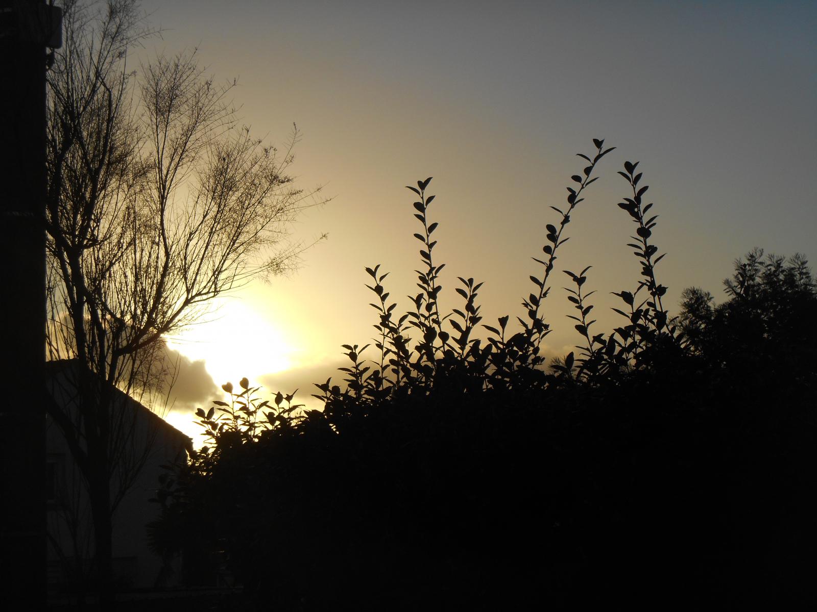Vue de ce qu\'il reste du jour ( Les Moutiers en Retz )