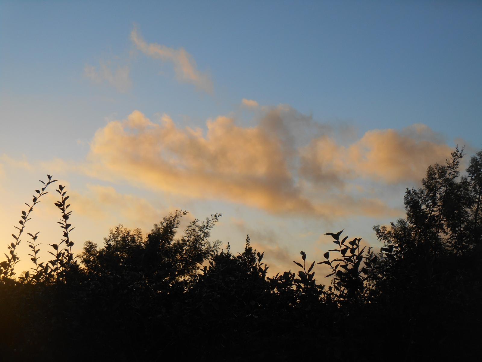 On voit mieux ces nuages  l\'orange givre hum ( Les Moutiers en Retz )