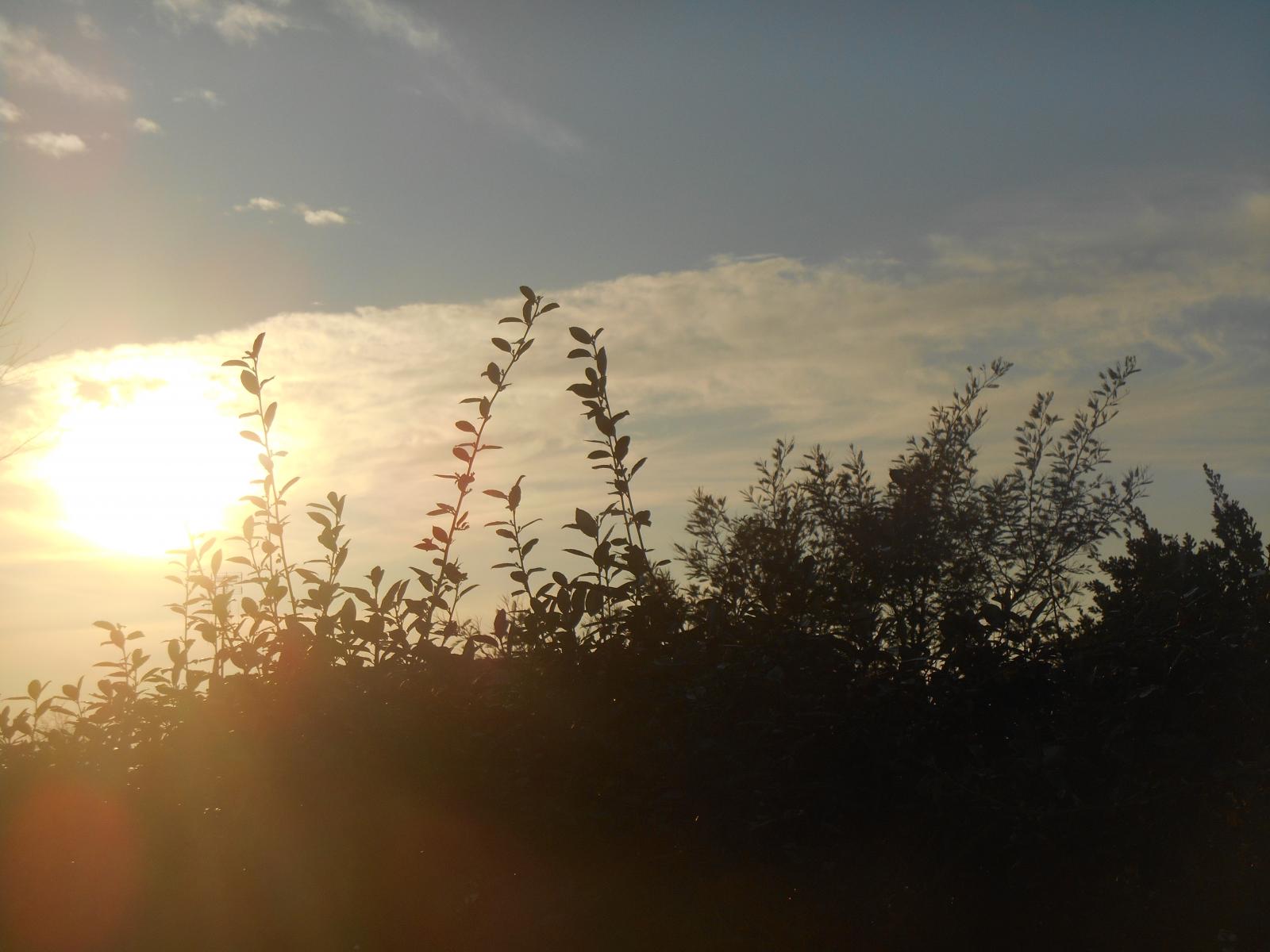 Le soleil voil� par une bande de nuages blancs ( Les Moutiers en Retz )