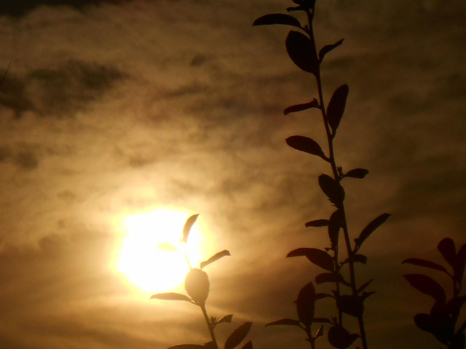 Le soleil avec un oeil noir en haut  gauche ( Les Moutiers en Retz )