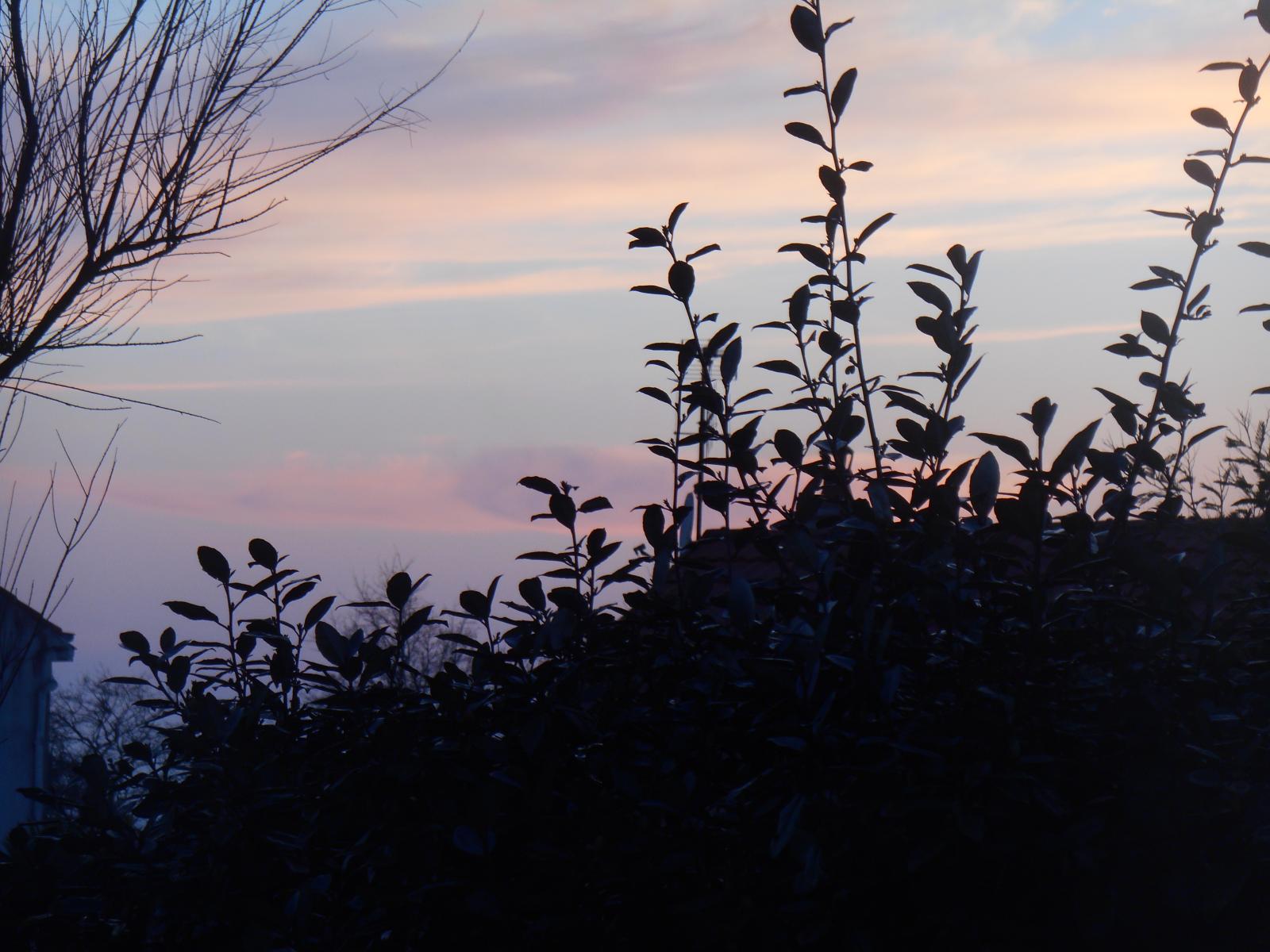 On pdalait dans les nuages au milieu des petits lapins ( Les Moutiers en Retz )