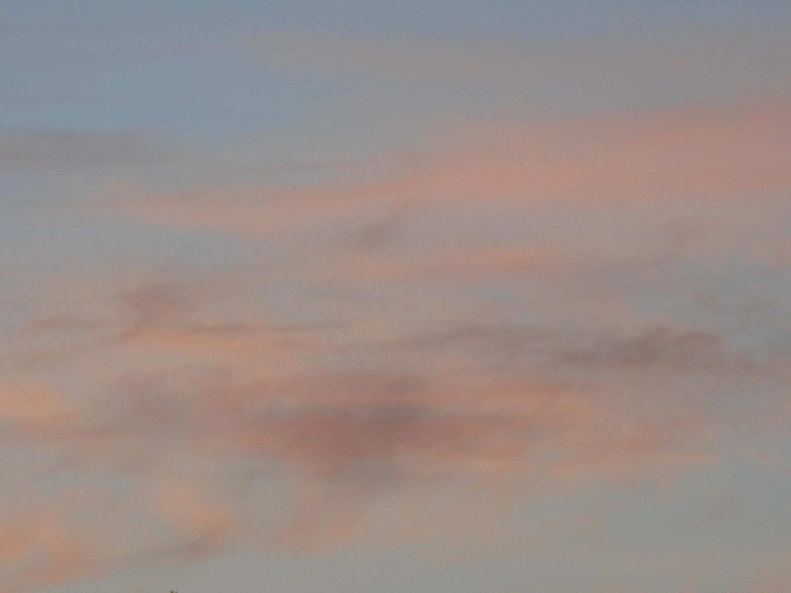 Les couleurs deviennent plus floues ( Les Moutiers en Retz )