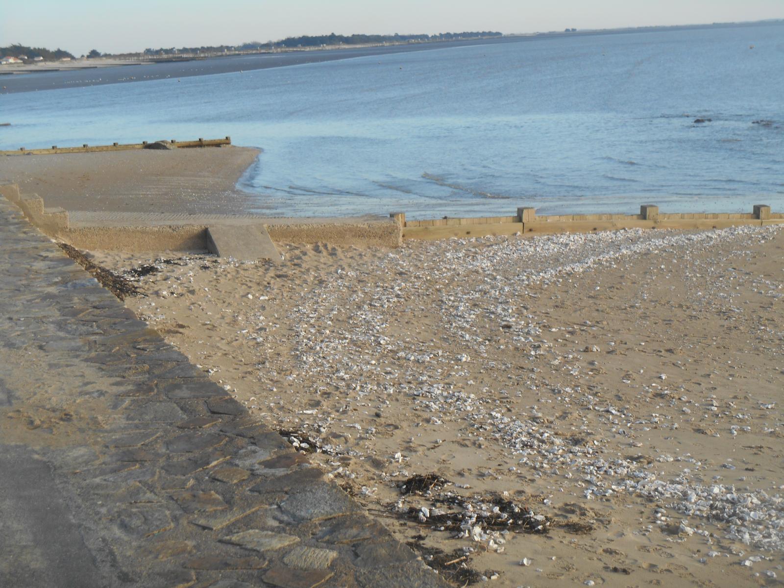 Les coquillages et la mer ( Les Moutiers en Retz )