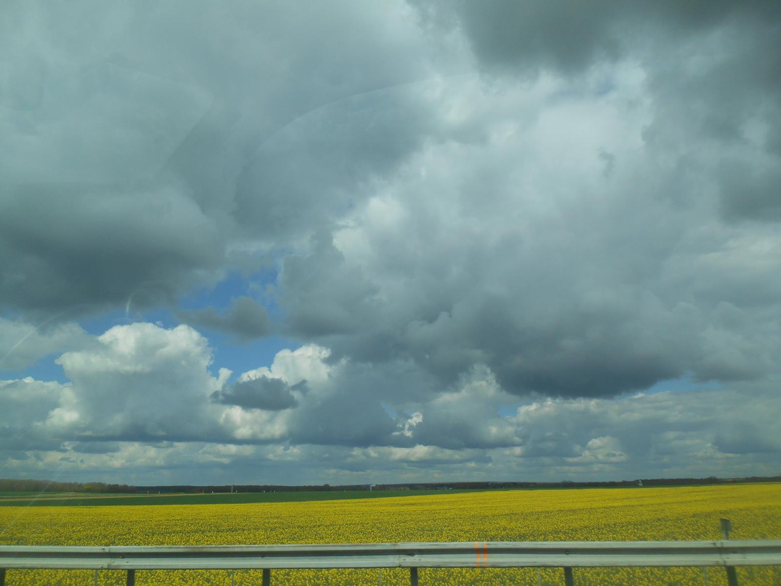 Magique champ de colzas ( Autoroute )