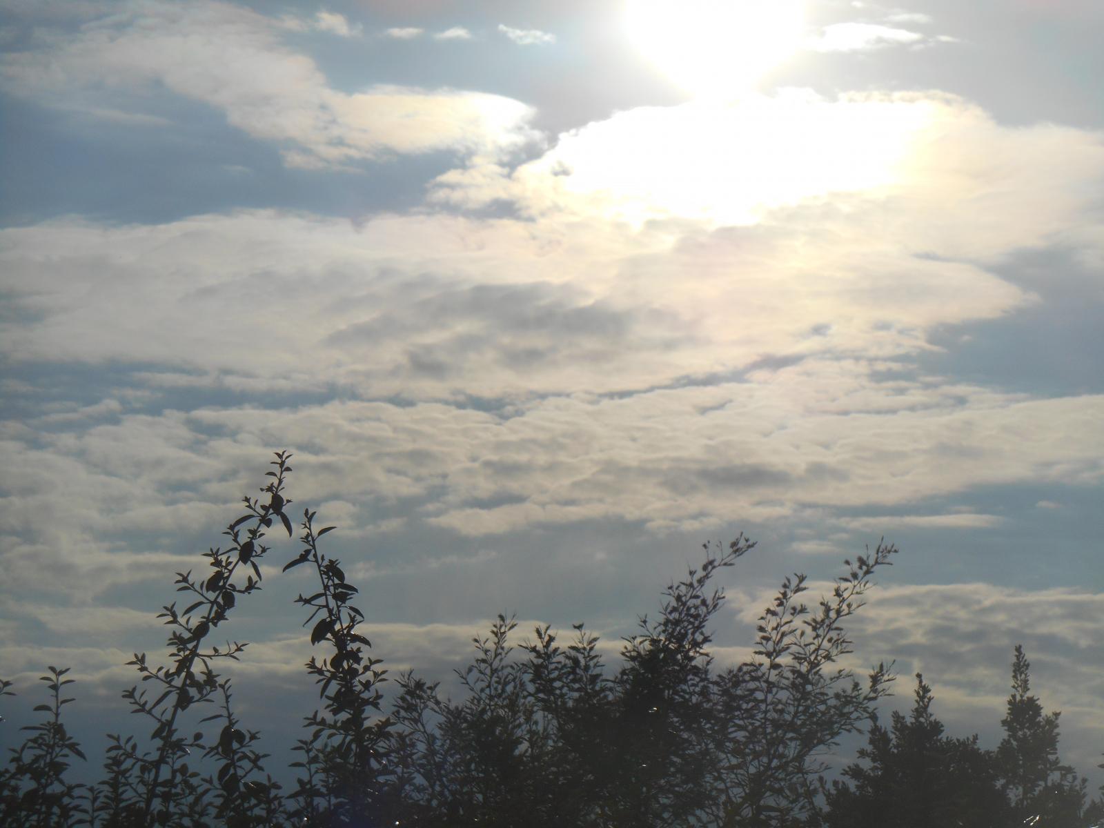 Le soleil qui r�gne tout en haut ( Les Moutiers en Retz )