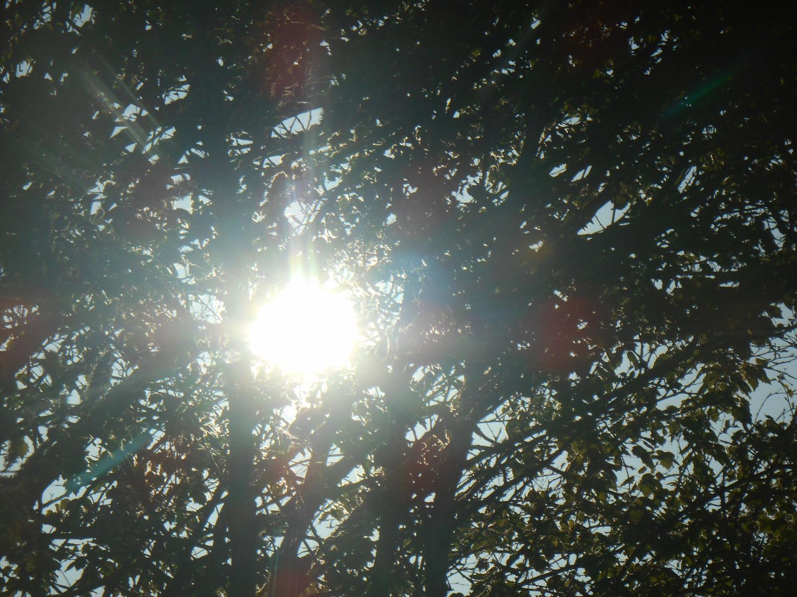 Le soleil est trs Persan ( Les Moutiers en Retz )