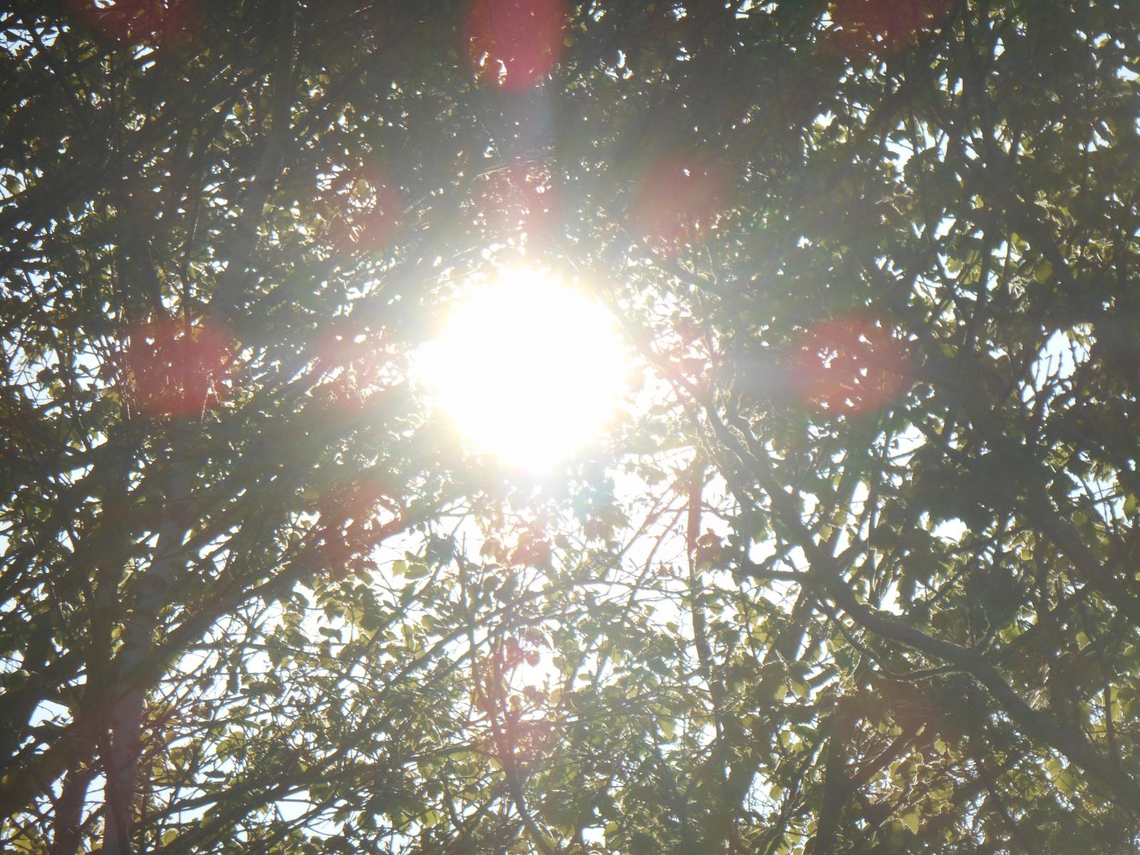 Encore l\'�me de la nature ( Les Moutiers en Retz )