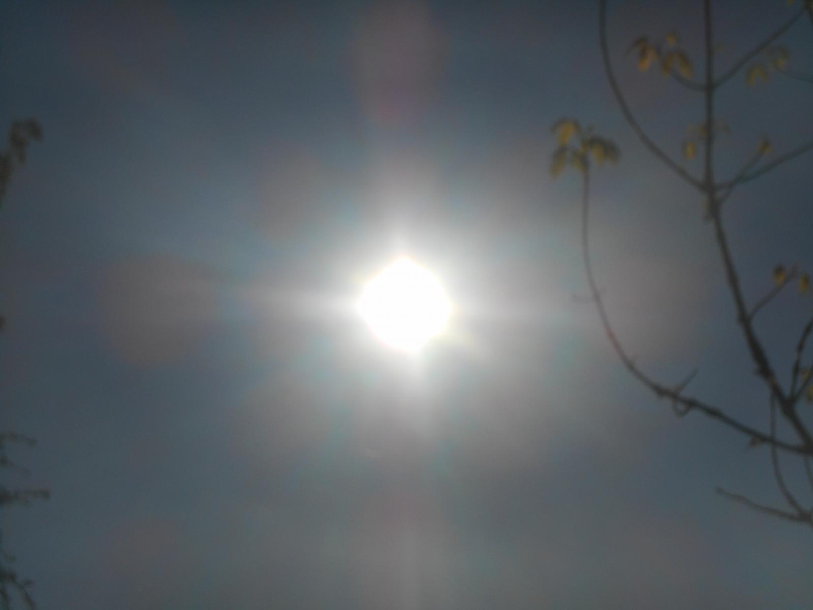 Soleil en plein milieu ( Les Moutiers en Retz )