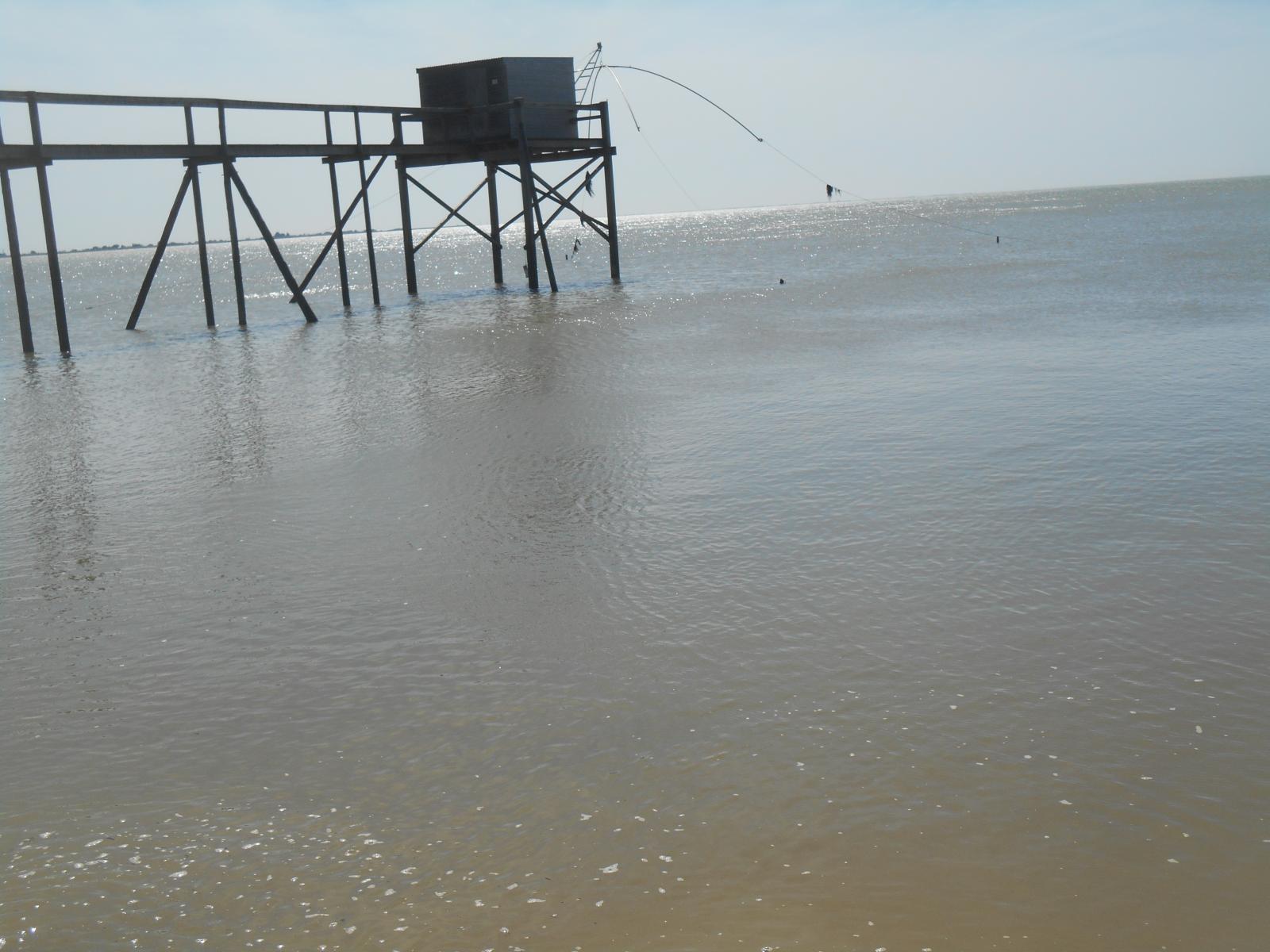 Au loin, on peut apercevoir vaguement Noirmoutier ( Les Moutiers en Retz ) Au loin, on peut apercevoir vaguement Noirmoutier ( Les Moutiers en Retz )