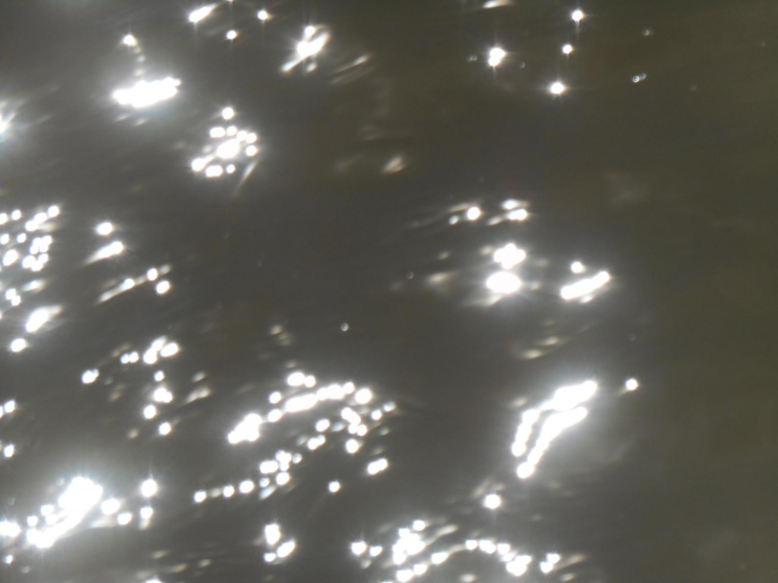 L\'eau gwenn ar du ( Les Moutiers en Retz )
