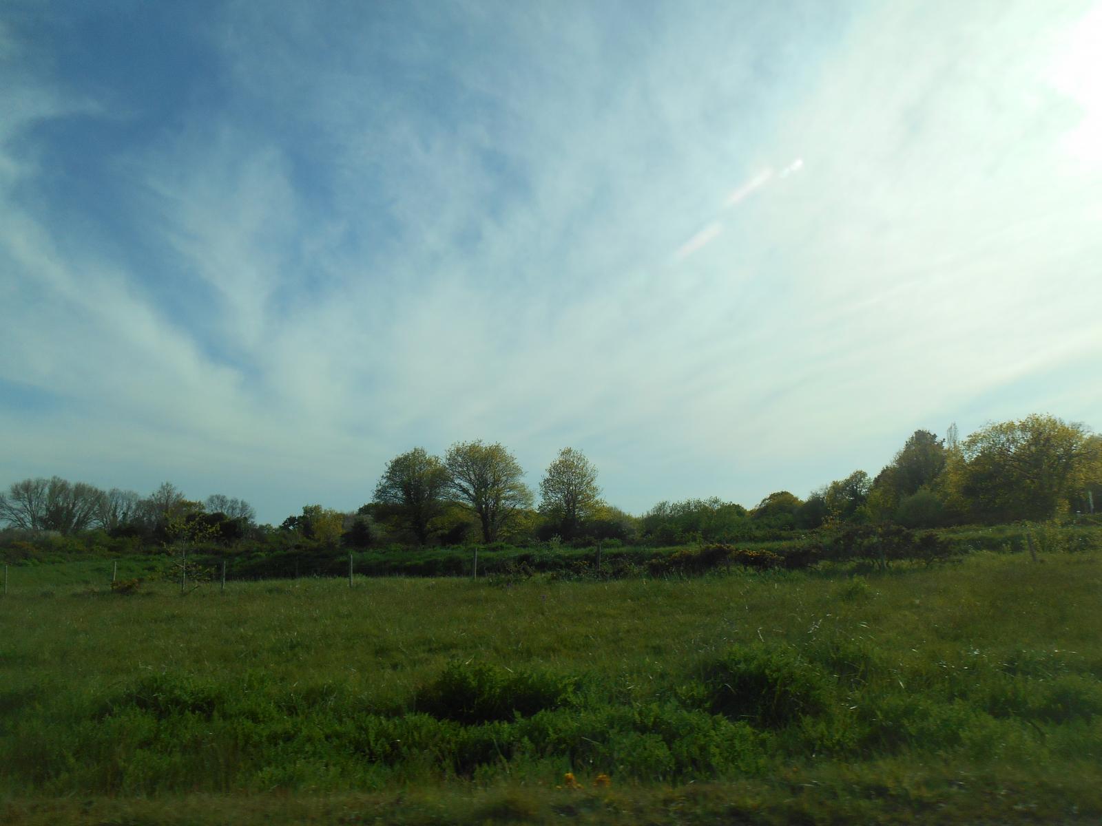 Magie du printemps ( Route bleue )