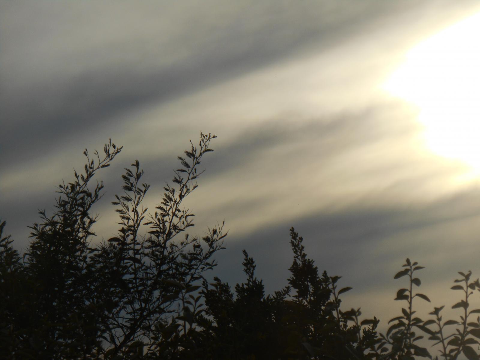 Le soleil � l\'extr�me droite, non ( Les Moutiers en Retz )