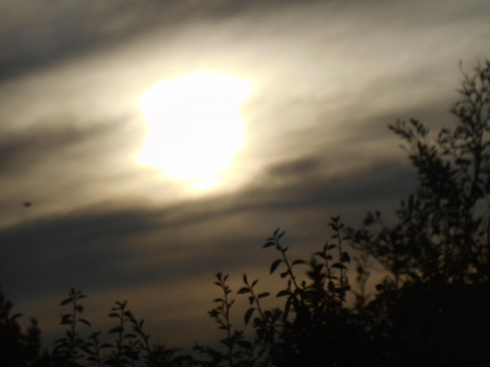 Beau soleil orageux ( Les Moutiers en Retz )