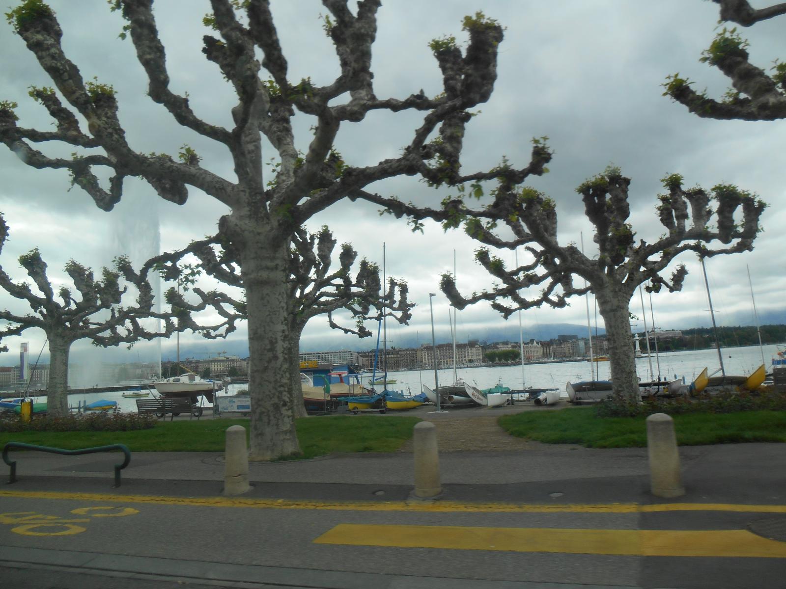 Le Port et le Jet d\'Eau ( Genve )