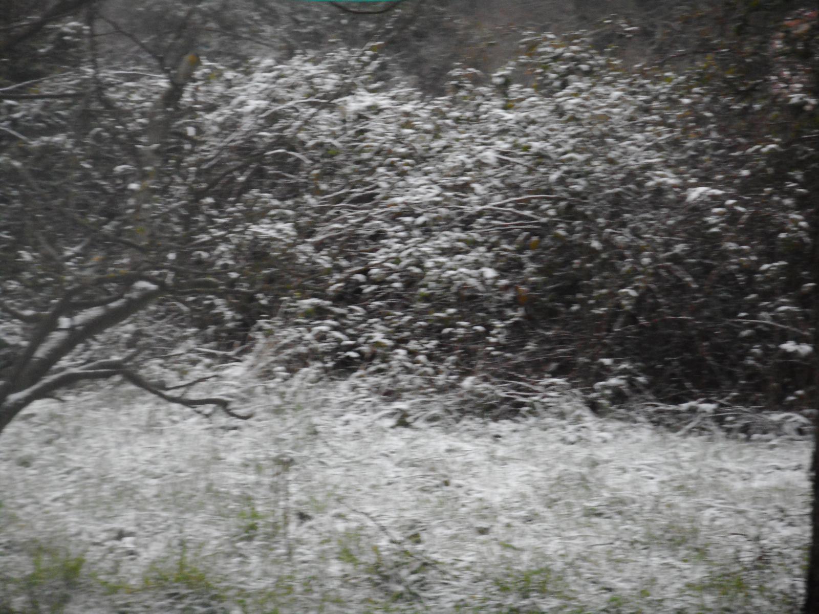 Un blanc flou comme le Campo de Hielo ( Les Moutiers en Retz ) Un blanc flou comme le Campo de Hielo ( Les Moutiers en Retz )