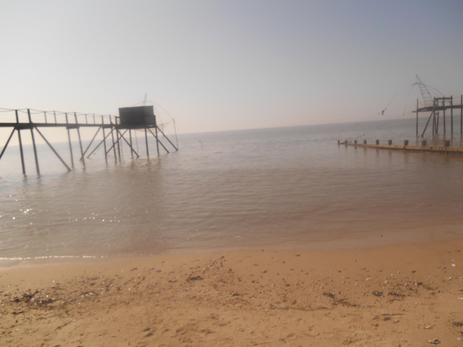 Il y a un beau printemps qui ne craint pas l\'hiver ( Les Moutiers en Retz )