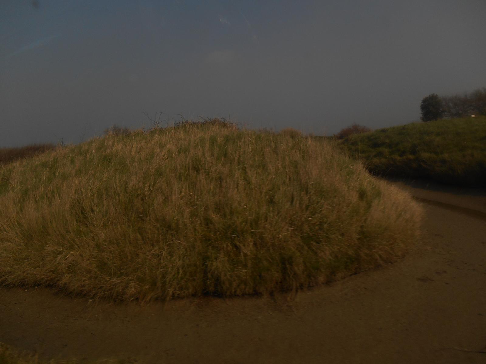 La s�cheresse de Mars 2014 ( Les Moutiers en Retz )