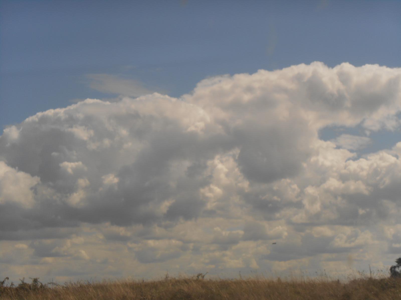 Les nuages menacent au loin ( Les Moutiers en Retz )