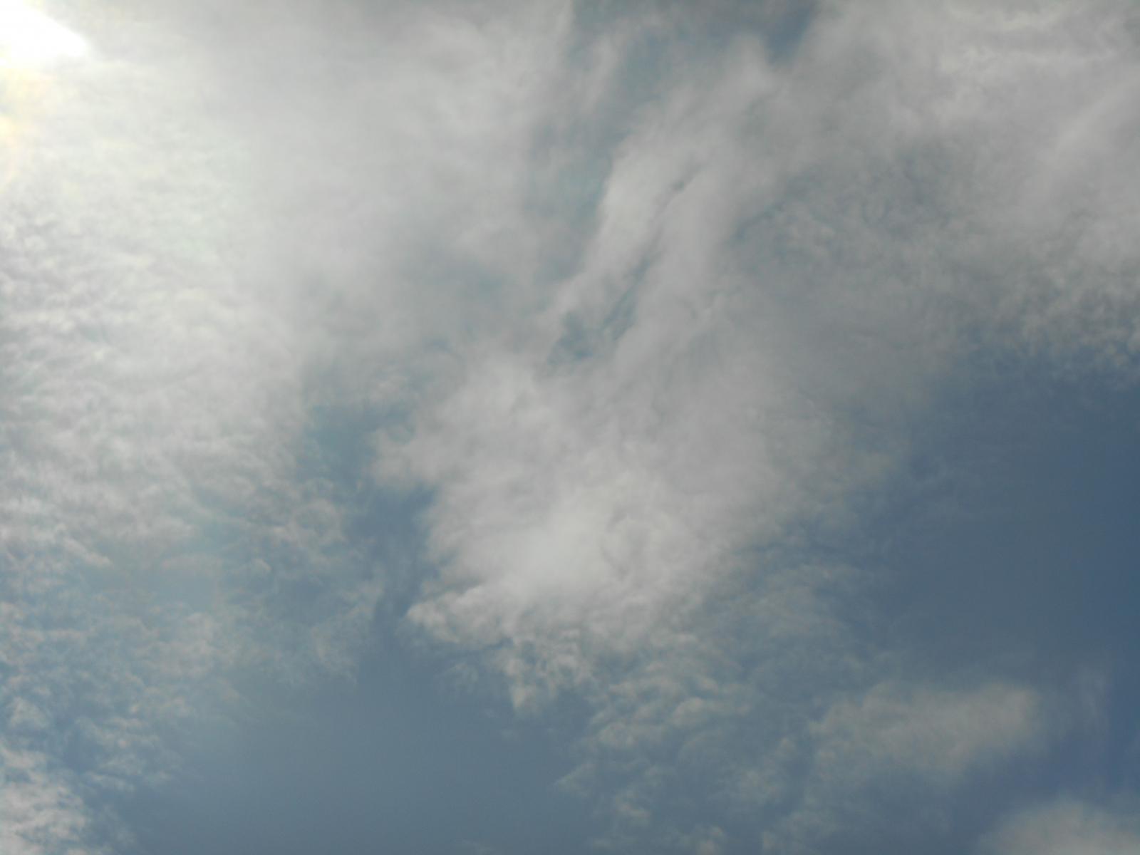 Trs beaux cirro-cumulus ( Les Moutiers en Retz )
