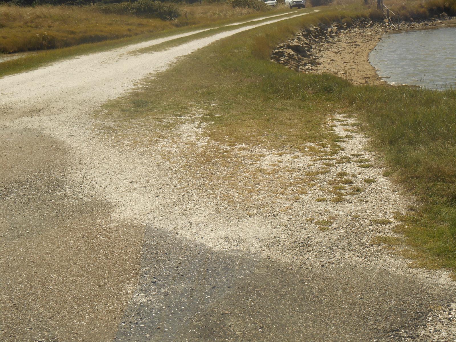 Voici la fin de mon chemin sur Terre ( Les Moutiers en Retz )