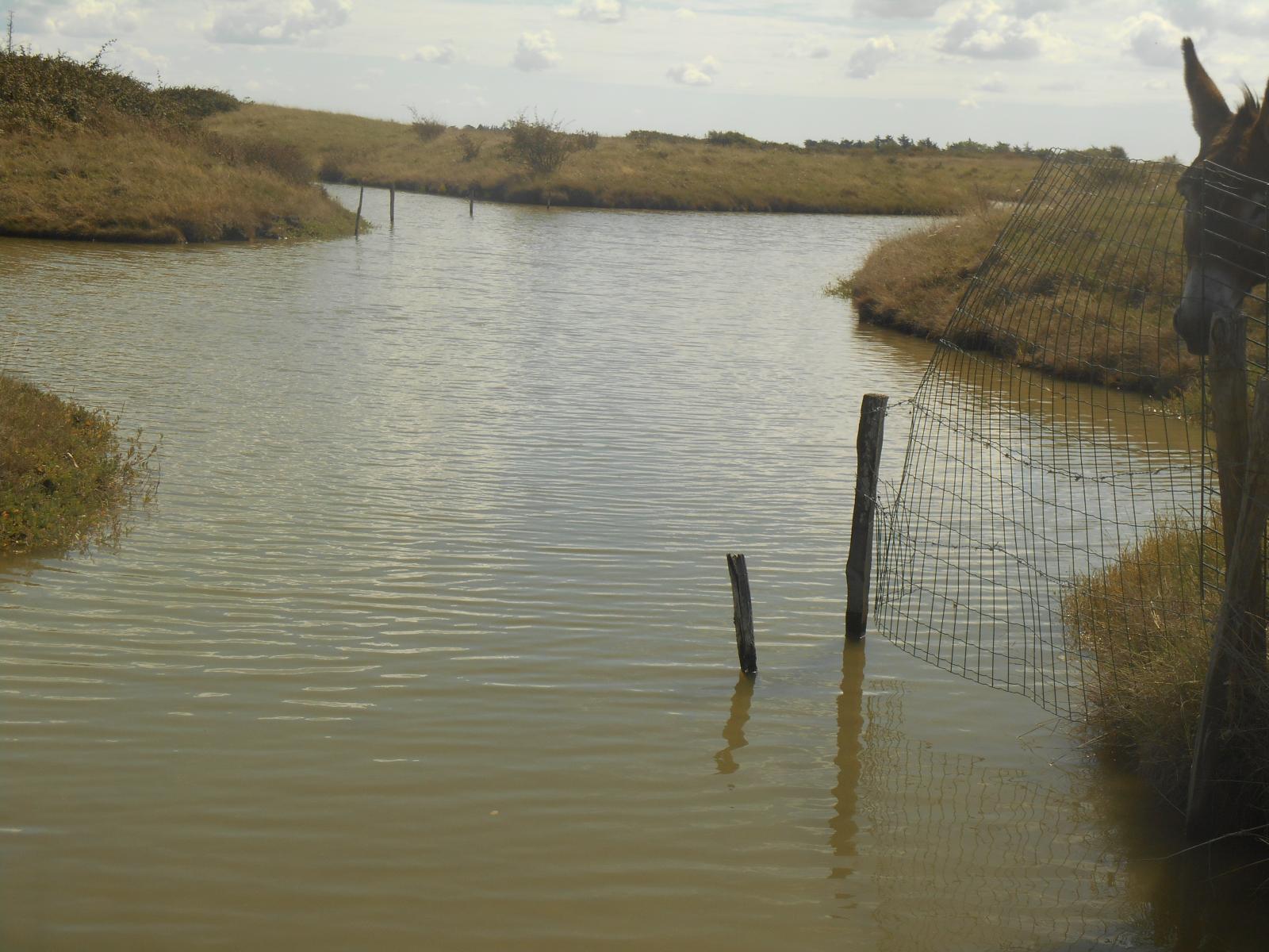 L\'eau � perte de vue ( Les Moutiers en Retz )