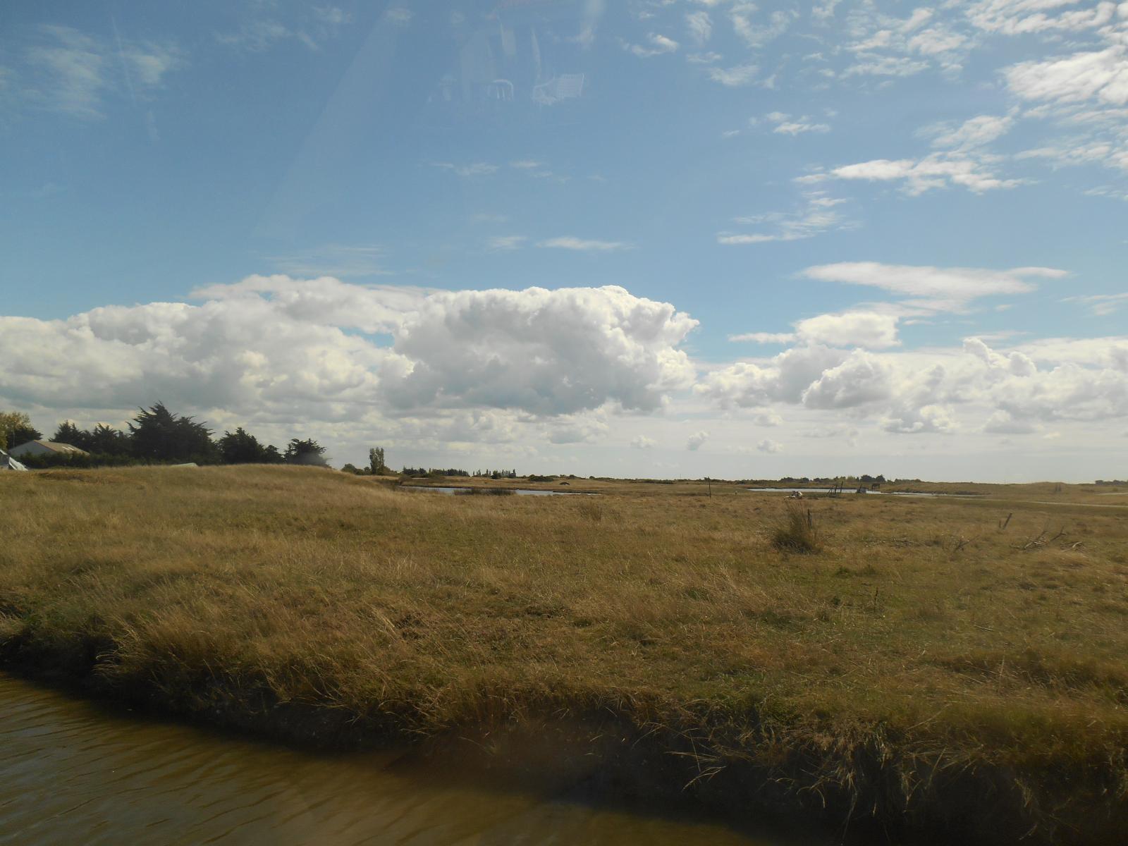 Belle vue panoramique ( Les Moutiers en Retz )