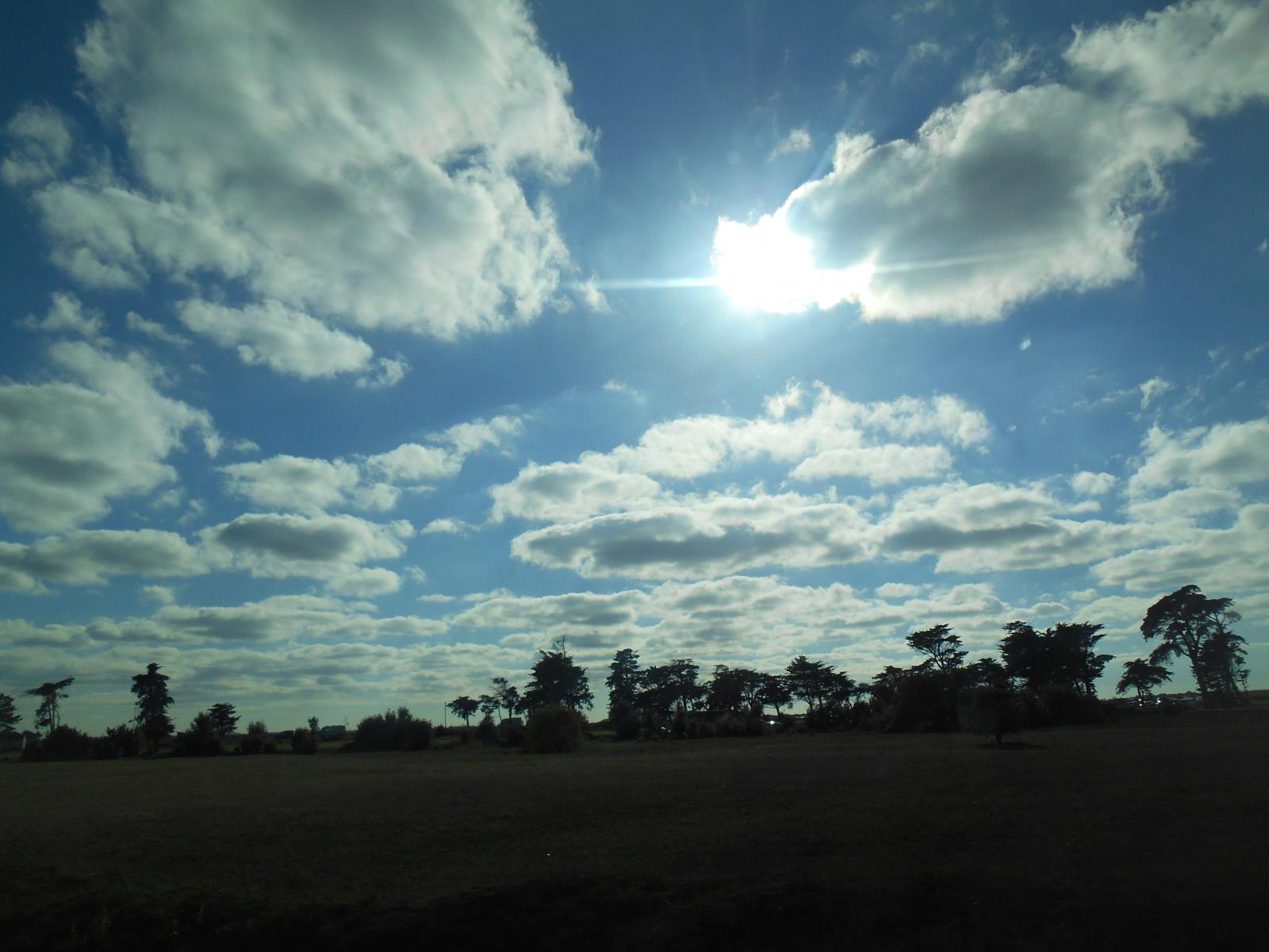 Le soleil brille sur le dsert ( Les Moutiers en Retz )