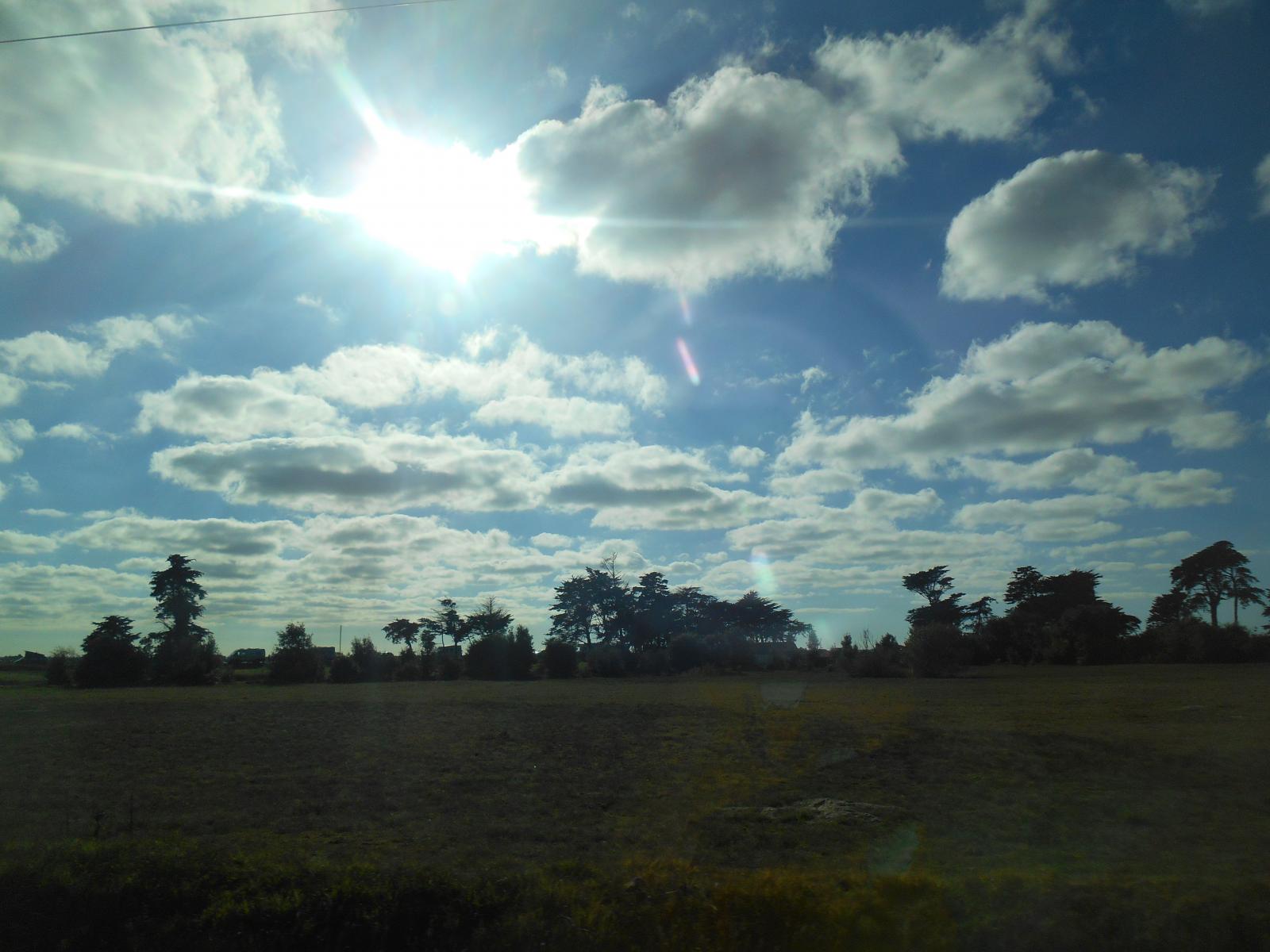 Le soleil chercher futur ( Les Moutiers en Retz )