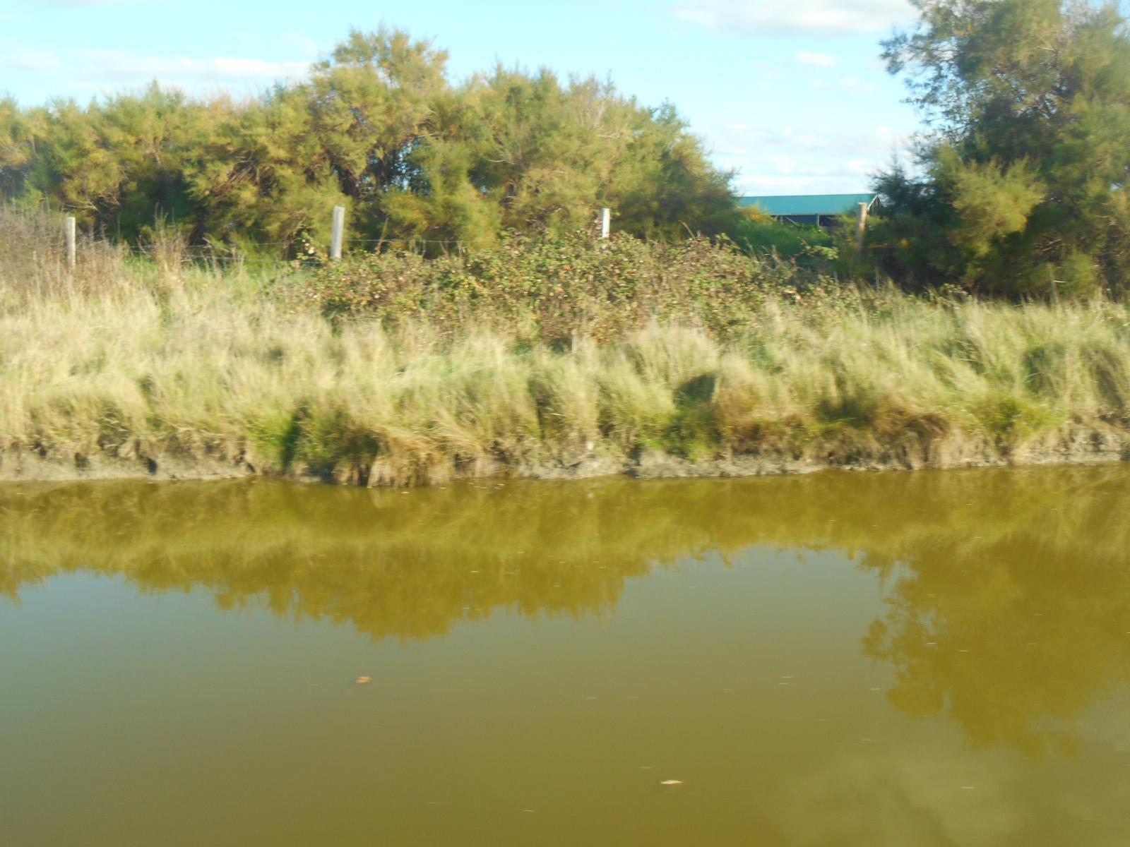 Encore les reflets au soleil ( Les Moutiers en Retz )